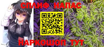 гашик Заводоуковск